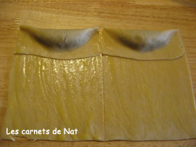 Cornes de gazelle-4